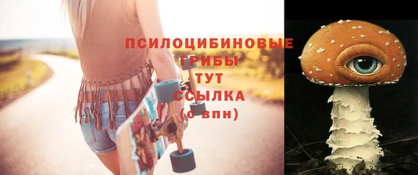 ECSTASY Покачи