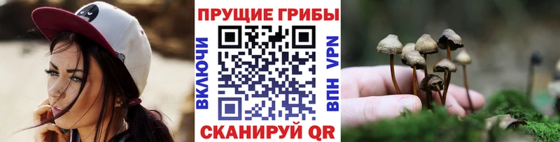 Псилоцибиновые грибы MAGIC MUSHROOMS  Купить закладки  Ува 