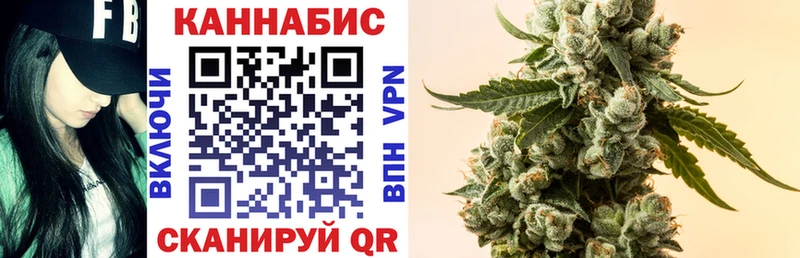 Купить где  Ува  Бошки Шишки THC 21% 